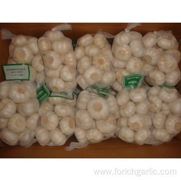 Size of 4.5cm Pure White Garlic